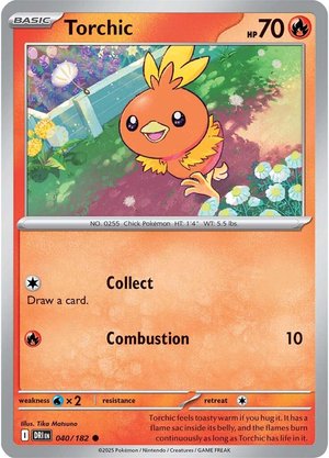 torchic-destined-rivals-040-182